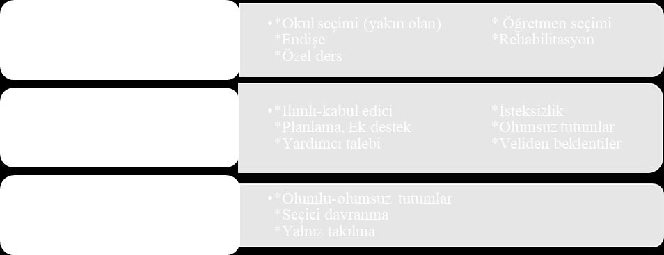 yaşadıkları sorun, çocuk tanılandıktan sonra birincil bakıcıların ne yapacaklarını bilememeleri ve çocukları için uygun eğitimi nereden