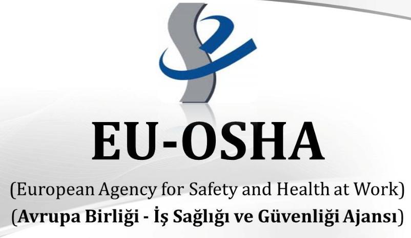 2.2.1. İş Sağlığı ve Güvenliği Ajansları (OSHA-USA ve OSHA-EU) Avrupa da OSHA-EU nın kuruluş amacı, Avrupa Birliğinde işyerlerinin daha sağlıklı, güvenli ve üretken olmalarına katkıda bulunmaktır.