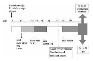 KLINIK BULGULAR Bulaşmış besinin alınmasından ortalama 3-8 gün sonra ishal başlar. İshal başlangıçta suludur, daha sonra kanlı olur. Karın ağrısı, bulantı ve kusma ishale eşlik eder.