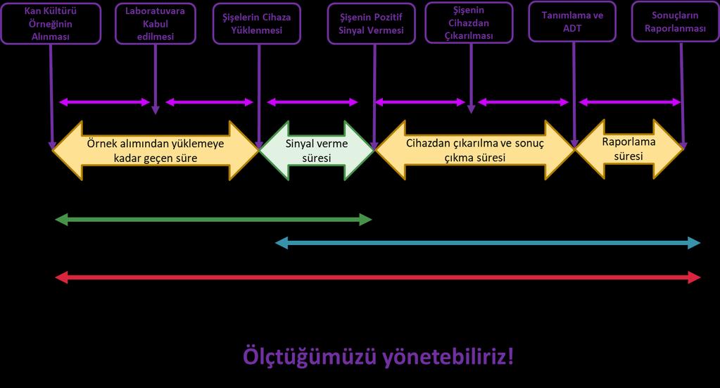 Tıbbi Mikrobiyoloji Laboratuvarında Süreçlerin Yönetimi < 4 Saat?