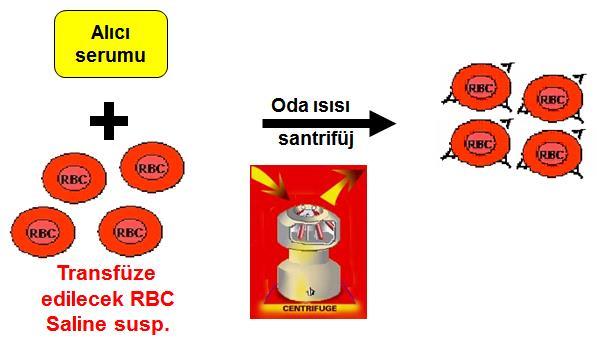 Transfüzyon için