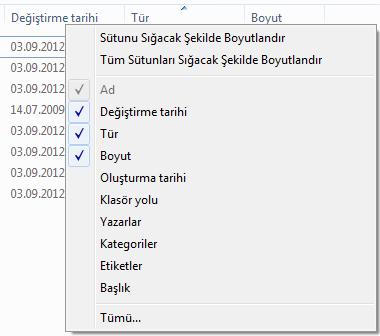 İpucu 1: Mevcut başlıklara yenileri ilave edilebilir veya var olan kaldırılabilir bunun için başlıkların herhangi biri üzerinde sağ tıklamak yeterlidir.