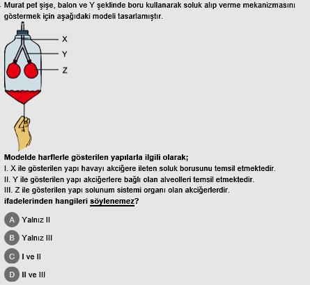 Akciğerler III. Soluk borusu IV. Burun V. Gırtlak Verilen yapı ve organlar nasıl sıralanırsa soluk alma sırasında havanın izlediği yol doğru verilmiş olur?