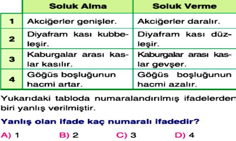 Âdem: Burunda bulunan kıllar havayı nemlendirir ve ısıtır.