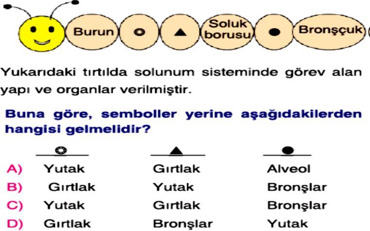 Öğrencilerin verdiği bilgiler ile ilgili ne söylenebilir? A) İkisi de doğru söylemiştir.