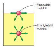 Sıvı yüzeyinde ve sıvı içerisinde bulunan iki sıvı molekülüne etkiyen çekim