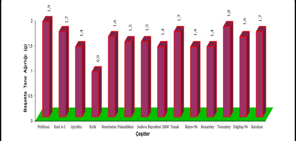 Çizelge 4.12. Yozgat Kadışehri ekolojik koşullarında ekmeklik buğday çeşitlerinin başakta tane ağırlığına (adet) ait ortalamalar Çeşitler Başakta Tane Ağırlığı Pehlivan 1.9 a Kate A-1 1.