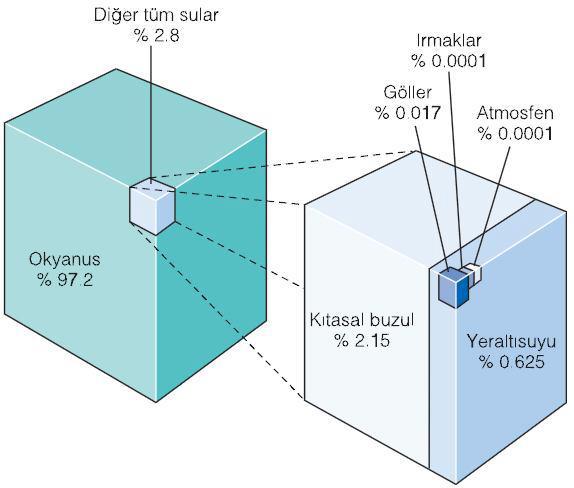 Yeryüzündeki suların göreceli miktarları. 1.36 milyar km3 olarak tahmin edilen suyun % 97.2 si okyanuslarda bulunur; geriye kalanın çoğu olan % 2.15 i ise karadaki buzullarda yer alır.