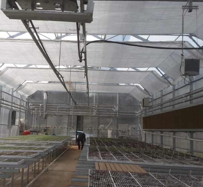 BEŞİK ÇATILI SERALAR / A TYPE GREENHOUSES Çok özel sera projeleri ve sert iklimler için idealdir.