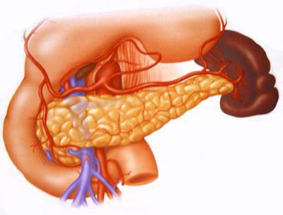 Echocardiography