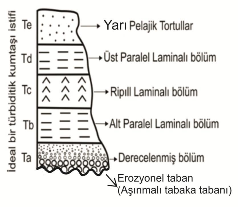 ** Türbidit akıntıları sonucu derin deniz alanlarında Bouma Türbidit istifi oluşur. Bouma istifi, iç düzenlenmesi olan bir kumtaşı tabakasıdır.