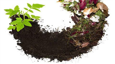 Organik atıklardan elde edilebilecek kompost ile