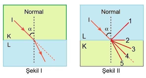 5. Yan yana durmakta olan K ve L elektroskopları şekildeki gibi pozitif ve negatif elektrik yükleriyle yüklenmiştir.