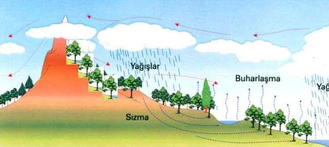 Tohumun toplandığı yerden güvenli bir