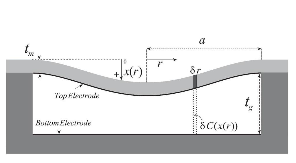 the velocity profile of a rigid piston and n = 2 accurately matches to the profile of a clamped membrane which is the case for CMUT membrane.