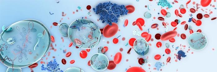Nanopartiküller ve Ökaryotik Hücreler İn vivo kullanımda potansiyel antibakteriyel etki?