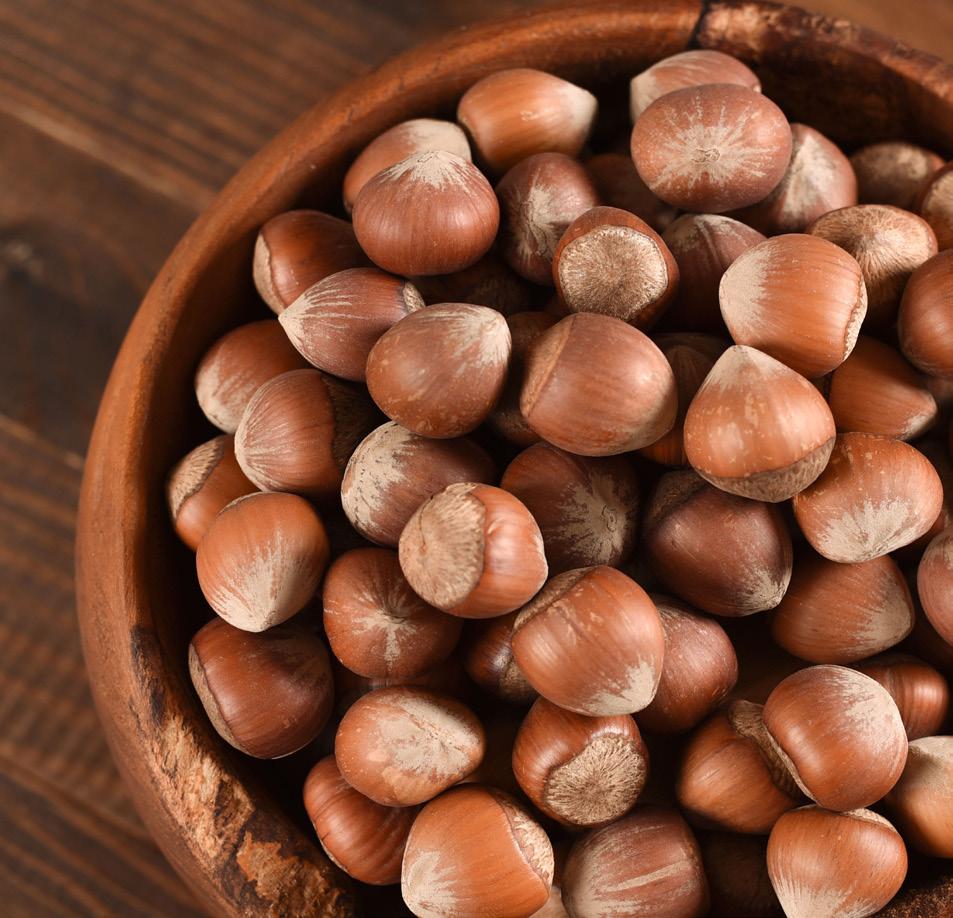 Fındık Çeşitleri Hazelnut Kabuklu Fındık Hazelnut Inshell Menşe Country of Origin Ordu, Giresun / Türkiye / Turkey