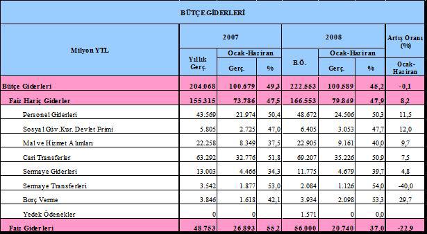 2. BÜTÇE GİDERLERİ 28 yılı Ocak-Haziran dönemi bütçe giderlerinin ekonomik sınıflandırma esasına göre gerçekleşmeleri aşağıdaki tabloda yer almaktadır.