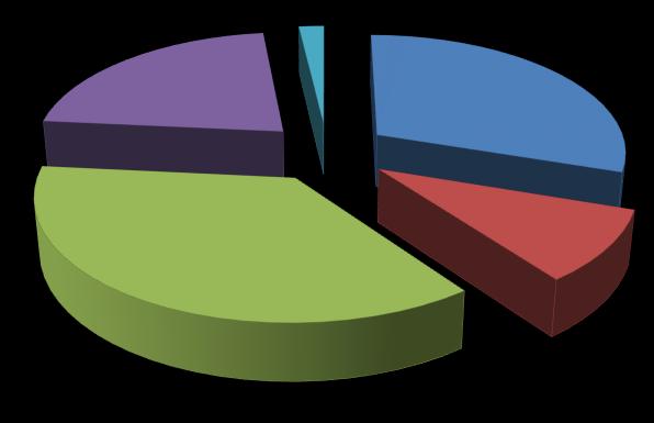 DDŞ SEKTÖR ANA MAL GRUPLARI 2016 OCAK (Bin Ton) 2016 OCAK Dönemi DDŞ