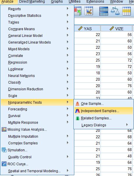 SPSS yeni sürümlerinde yandaki sekmeyi