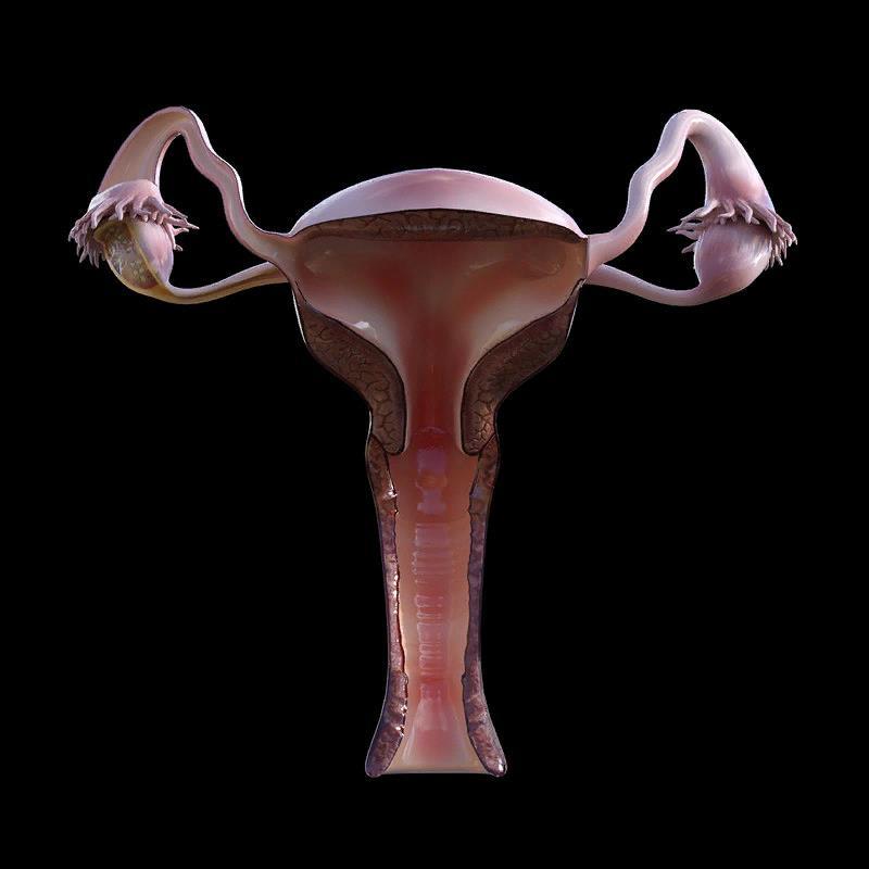 Dış gebelik ; Gebeliğin oluşması gereken uterus dışında oluşmasıdır. Ençok tuba da olur. Embriyon büyüdükçe gerilen tuba önce ağrıya neden olur. Sonra yırtılarak karın içi kanamaya neden olur.