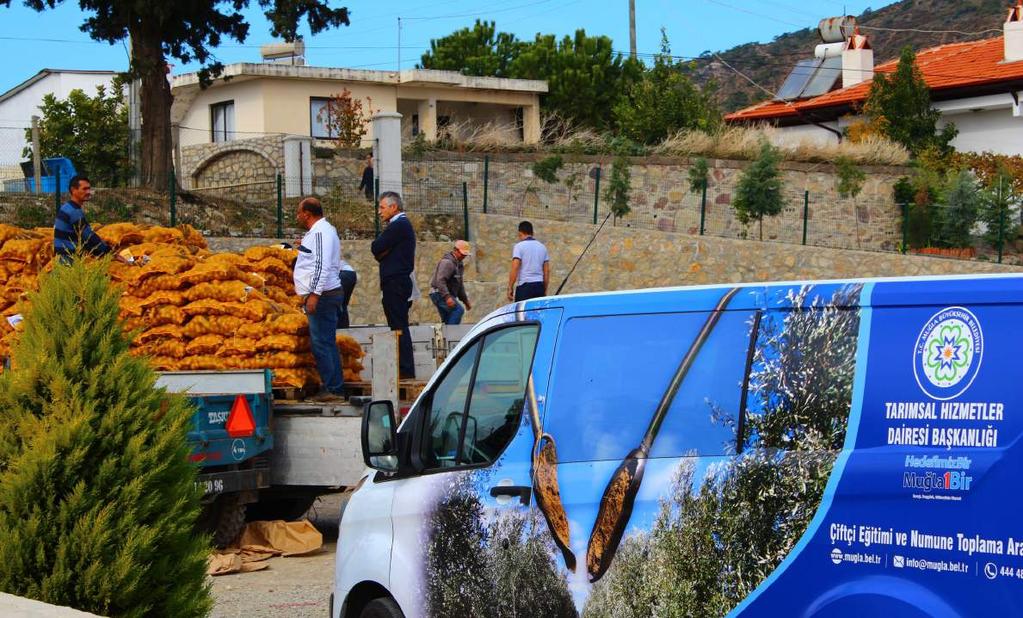 Toprağını Satma Ürününü Sat Ceviz, Memecik Zeytini, İncir fidanlarında %50 hibeli destekleme yapıldı.