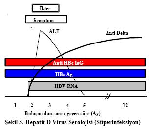 Hepatit D