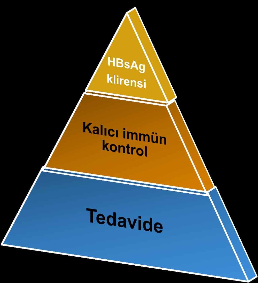 Kalıcı immün kontrol