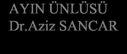 *Kutu ve Yaprak HAYVAN:ARI BİTKİ:BAHAR ÇİÇEKLERİ RENK:ANA RENKLER/ARA RENKLER PEMBE PARTİLER *23 Nisan Ulusal Egemenlik ve *Kostüm Partisi