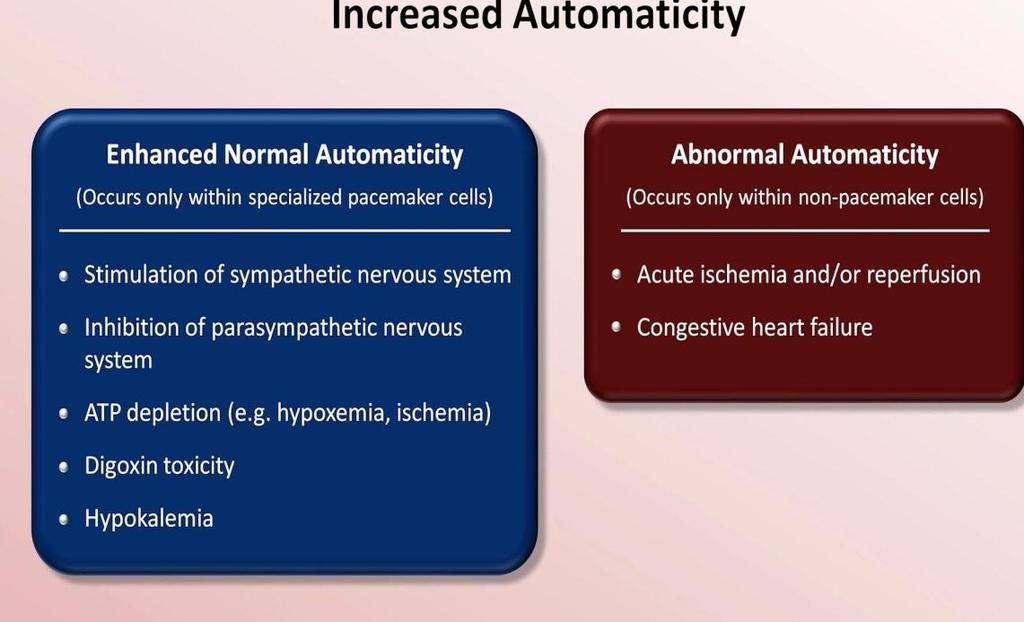 2-Nonpacemaker hücrelerin anormal otomasitesine bağlı