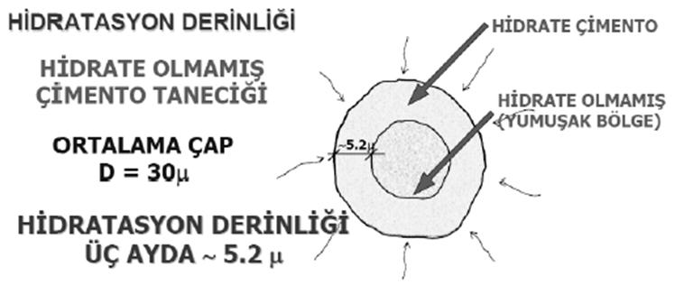 hidratasyon sürecinin şematik gösterimi 29 30 Çimento tanesinin hidratasyonu: Hidratasyonolayının üç önemli özelliği: a) Çimentonun klinker halinde, yani öğütülmemiş iken su ile reaksiyon