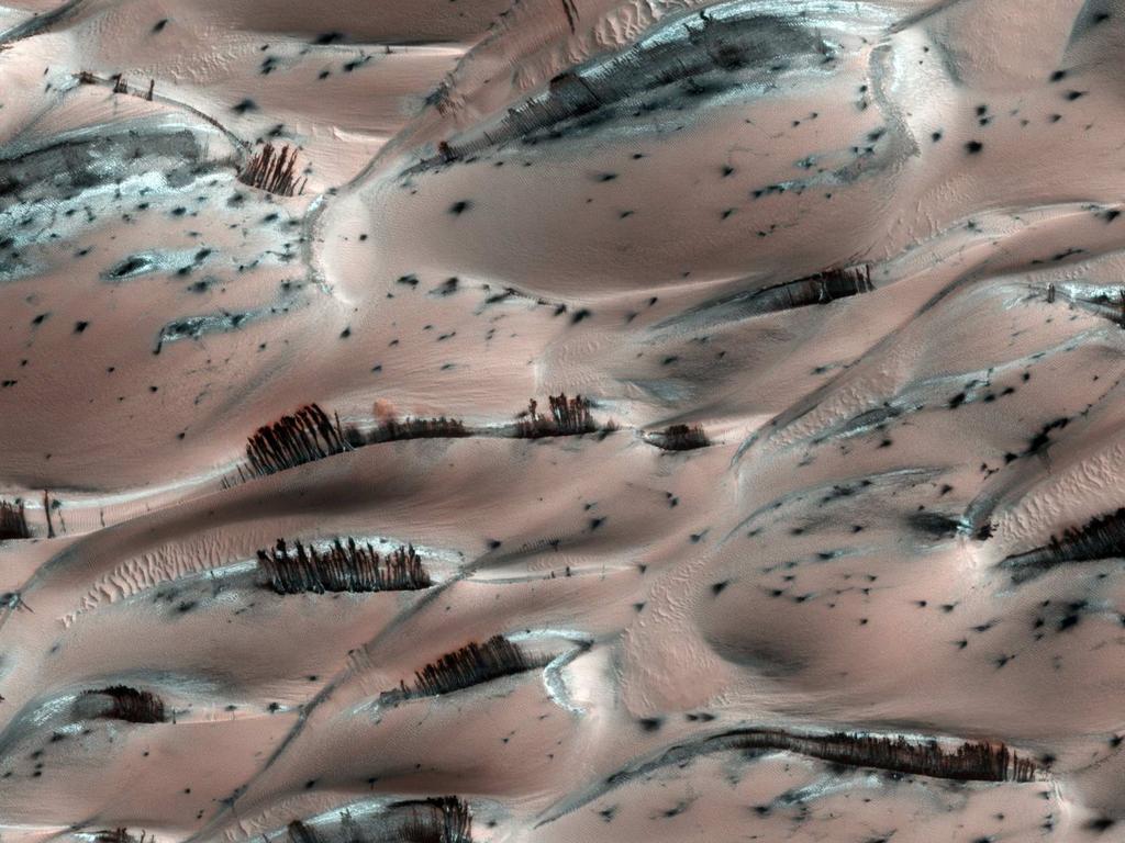 Mars ın kuzey uçlağında toprak üzerinde hafif don ve erimiş