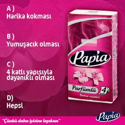 Yönetim Yapılan Ağlar Papia Hakkında