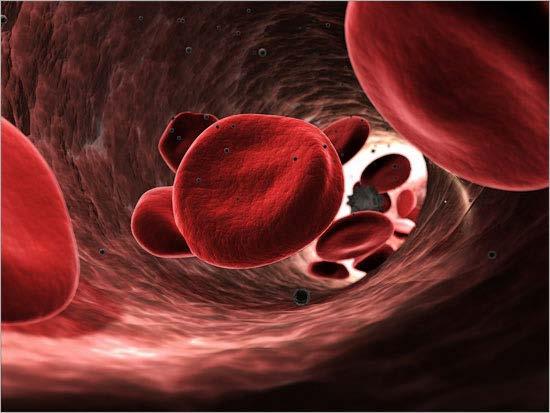 TROMBOSİT Trombosit; kanama sırasında kanın pıhtılaşmasını sağlayan hücre parçalarıdır.