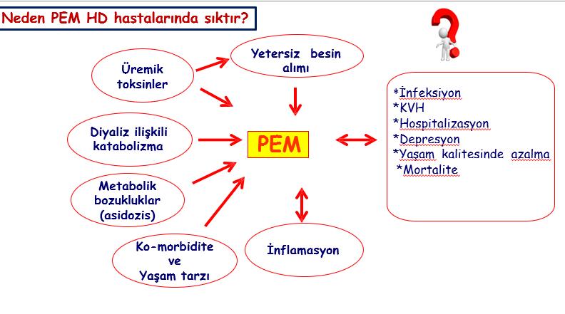 Protein-Enerji Malnütrisyonu (PEM) kronik böbrek