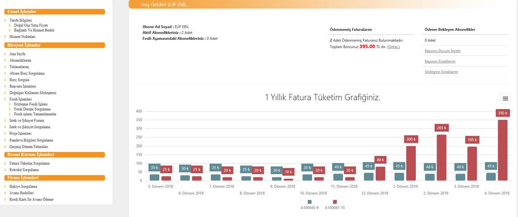 Başvuru işlemi yapıldıktan sonra Başvuru Durum İncele