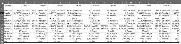 Tanımlayıcı İstatistik aracı ile Şekil 8 de görüldüğü gibi Ortalama, Standart Hata, Ortanca, Mod, Standart Sapma, Örneklem Varyansı, Basıklık, Çarpıklık, Aralık, En büyük, En küçük, Toplam ve Say