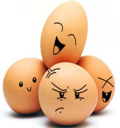 YUMURTA Yumurtalar çok iyi pişmiş olmalıdır.