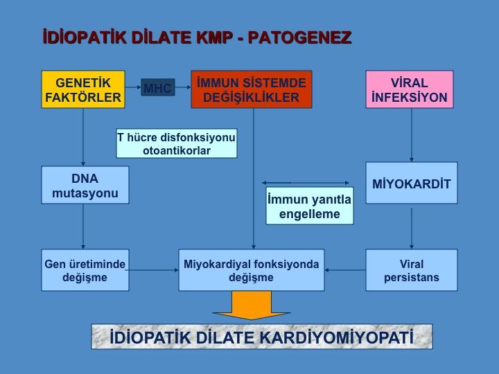 İdiopatik Dilate