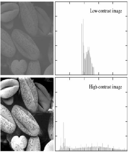 Histogram Karşıtlığı düşük imge