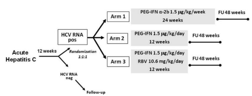 1 96 Peg-IFN; AHC tedavisinde yüksek KVY oranlarına