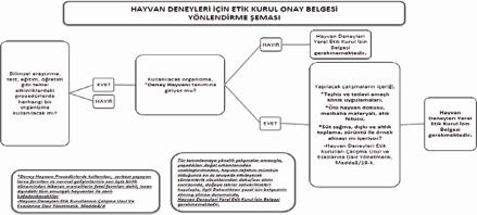 Kurul Bilgi Notu 2018