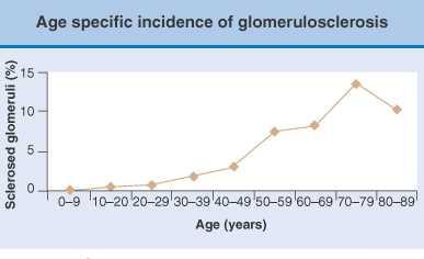 Yaşla ilişkili glomeruloskleroz Skleroze