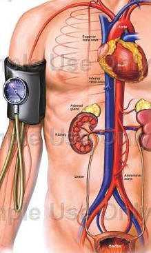 Brakial ve santral sistolik kan basıncı Santral aortik