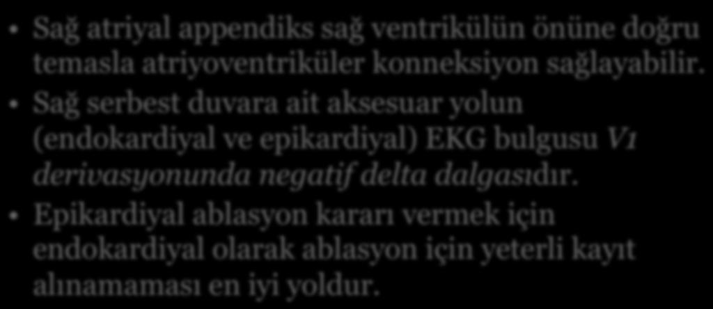 Sağ serbest duvar aksesuar yol Sağ atriyal appendiks sağ ventrikülün önüne doğru temasla atriyoventriküler konneksiyon sağlayabilir.