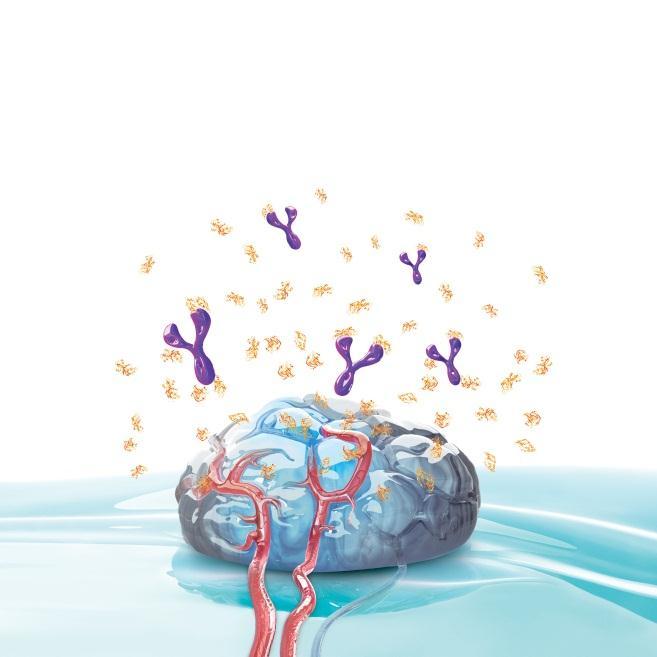 BEVACİZUMAB NE YAPAR? Bevasizumab VEGF ye bağlandığında VEGF nin düzgün çalışmasını önler.