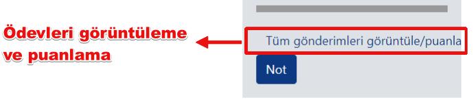 Ödev Ekleme Tüm gönderimleri görüntüle butonu ile