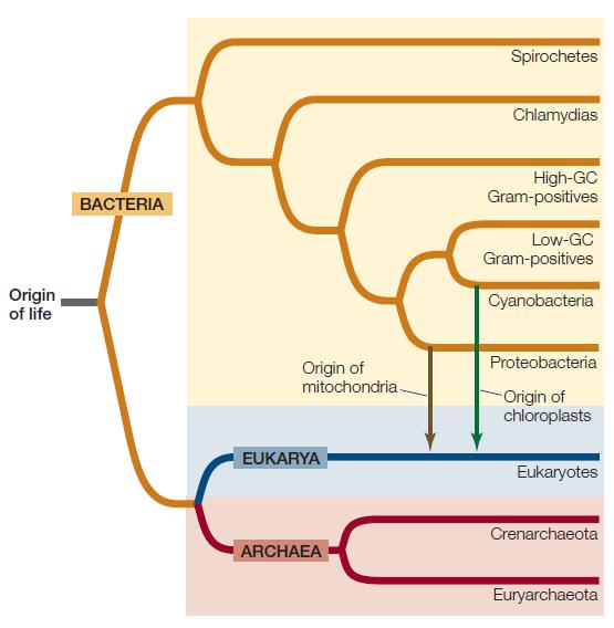 Figure 26.