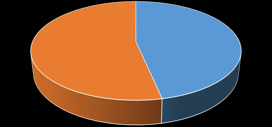 31-35 34% 26-30 31-35 36-40 41-50 51 Üzeri 36-40 13% Grafik 3: