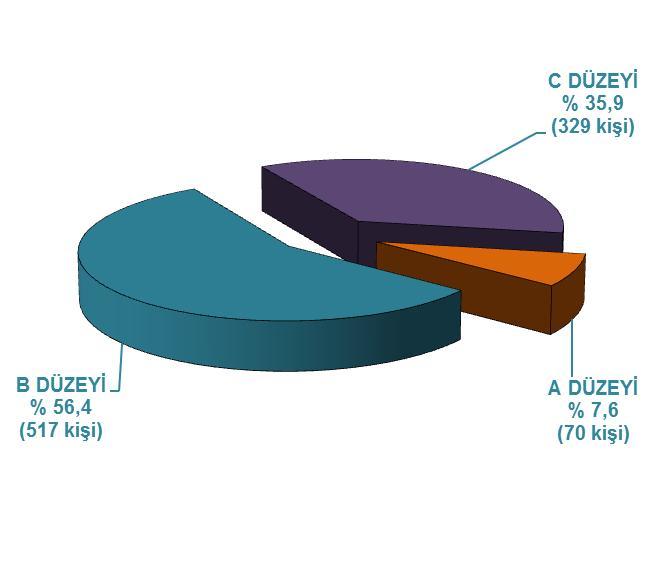 Şekil 7: Yabancı Dil Bilen Çalışanların Seviyelerine Göre Dağılımı ()